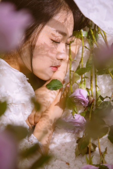 放肆我才是女王短剧免费观看全集